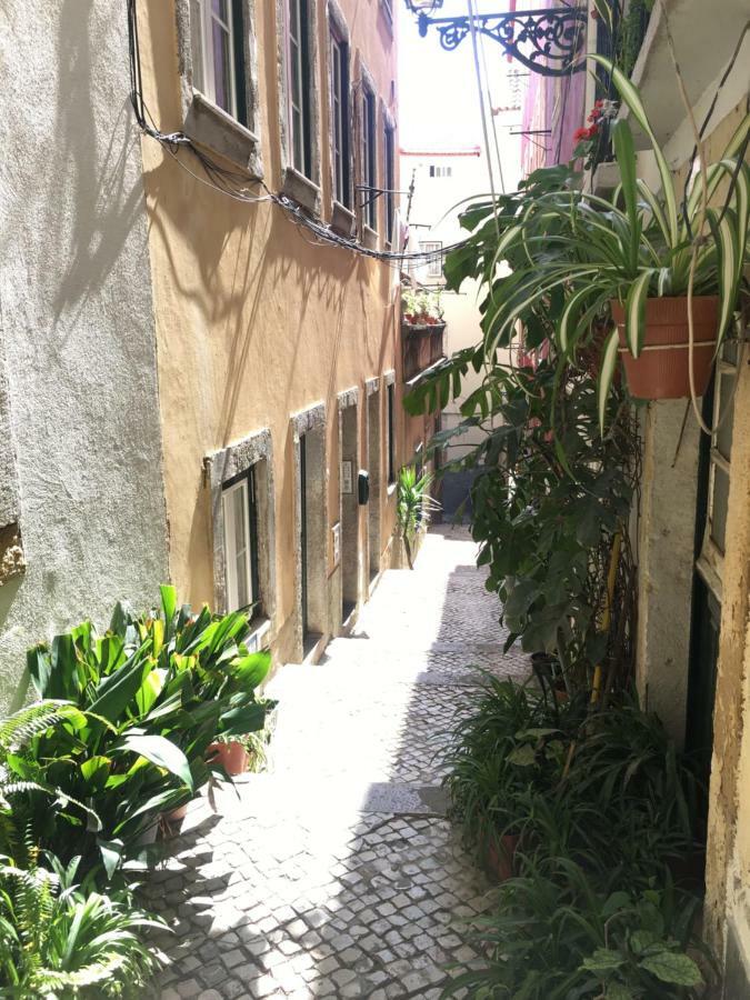 Casa Da Saudade, A Cozy Apartment In Alfama Lisboa Εξωτερικό φωτογραφία